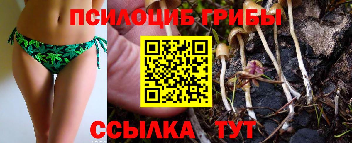 Назарово  Псилоцибиновые грибы мухоморы  Вход с VPN 